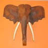 Elephant Walk Indian Bar and Grill