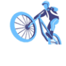 Elite Bikes