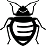 Elite Bed Bug Exterminators Seattle Washington
