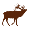 Elk City Park Department