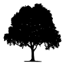 Elliott Woodworking