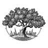 Elm Wellness