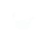 Comunidad El Olivo AC