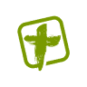 Emerald Coast Fellowship