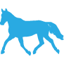 Emma Blijdenstein Holistic Equine Therapy