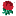 England Rugby