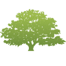 English Insurance Group