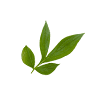 Enhanced Wellness