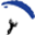 Skydive ENPC