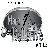 Les Entreprises Marc Bellerive Et Fils Inc.