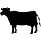 Enxebre Cedeira