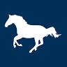 Protexin Equine Premium