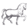Equine Therapies