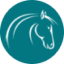 EquiSportMania Scorzè - Selleria equitazione, tutto per Cavallo e Cavaliere!