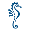 Equitas Accounting Services: Denmark Accountants