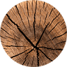 Erdholz SRL