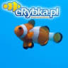eRybka