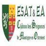 C.a.t Help Center By Le Travail