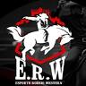 Esporte Rodeio Western