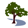 Krause Estate Planning & Elder Law Center