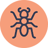 Esthetic Ants
