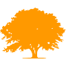 Central Park Treehouse