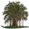The Estate, Trust & Elder Law Firm, P.L.