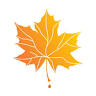 Maple View Sugarworks