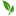 Evas Teeplantage