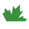 Evergreen College Mississauga