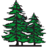 Evergreen Landscape Management