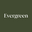 Evergreen Trees Direct