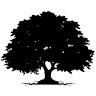 Everscape Tree Services