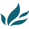 Evolution MedSpa Boston