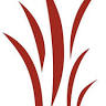 Evolve Tax & Accountancy LLP