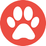 Exclusive Veterinary Clinic Vets Sibiu