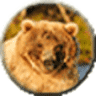 Expeditions Alaska
