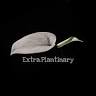 Extra.Plantinary