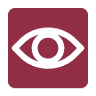 The Eye Group