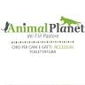 Animal Planet Fisciano Pastore