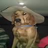 Far Out & Funky Antiques & Collectibles