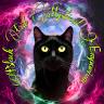 Black Cat Mystical Emporium