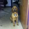 Washington County Animal Shelter