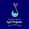 Cevichera Azul Profundo