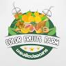 Color Fruits Farm