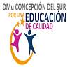 Dirección Municipal de Educación Concepción del Sur