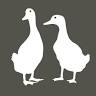 Duck Junction
