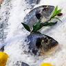 Fischparadies Mado