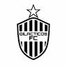 GILACTICOS FC STADIUM