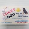 Lucky Dog -Tutto Per Animali